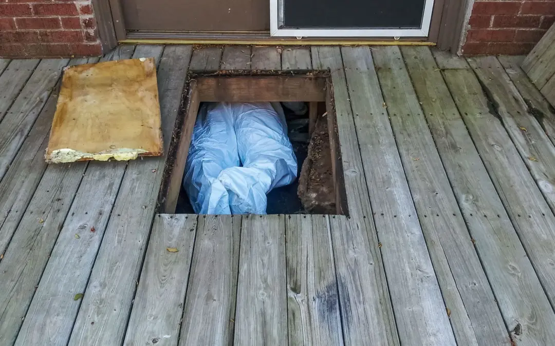 7 Signs Your Home May Need Crawl Space Repairs