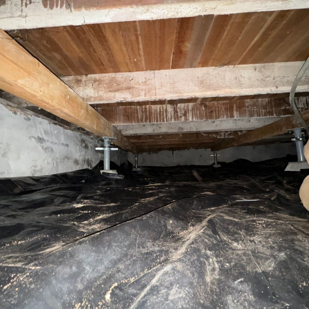 Our crawl space repair services include moisture control systems, proper insulation, and structural reinforcement